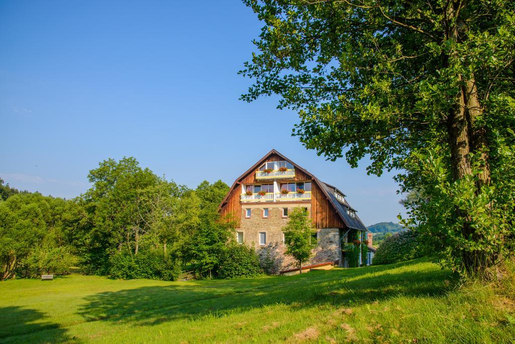 Hotel Frankenschleif Waldmünchen Buitenkant foto
