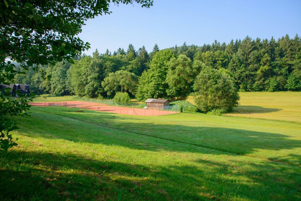 Hotel Frankenschleif Waldmünchen Buitenkant foto
